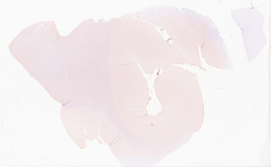 ['deident_c8116ede-9c04-4f9d-9c74-0a8e2097ebff_69d92289.jpg']