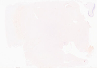 ['deident_317eba66-85ef-462f-a0d4-e816da1a35dd_69d92172.jpg']