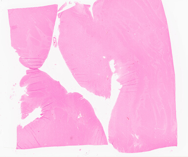['deident_1dcad04c-5d64-4de5-8a5a-41cec651f05c_69d92158.jpg']