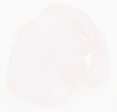 ['deident_84f534d0-fc1d-4a2b-8528-160c7b8becac_69d921e7.jpg']