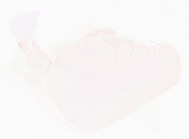 ['deident_fb2d00c5-ef01-4da5-8a3c-e2e35b2ba6c7_69d92320.jpg']