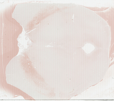 ['deident_c208d525-71b8-4f90-8a71-f90bcca906f6_69b030aa.jpg']