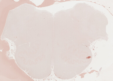 ['deident_880edfaa-c35b-401d-a95a-fdc6ffec3cda_69b03092.jpg']