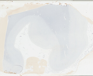 ['deident_9d239118-237a-41d7-8834-cd79509cb135_69b030a0.jpg']