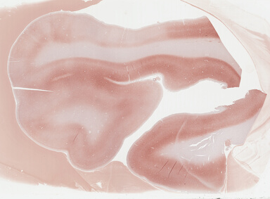['deident_e26a81ff-3b16-477d-8922-5b5a093558d7_69b030b5.jpg']
