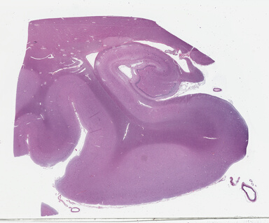 ['deident_dea73d28-898f-4354-8be0-2d71fec73d21_69b030b2.jpg']