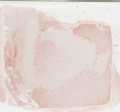 ['deident_70e8e9ee-28df-473b-8ec6-d1f59aa7bd47_69b0308d.jpg']