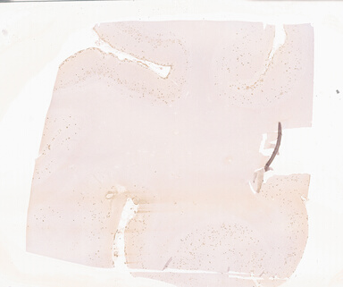 ['deident_8d5ecb23-d5bf-426d-8848-fba75707e3b0_69b05147.jpg']