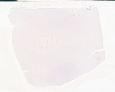 ['deident_16831e85-00bc-4904-a3cb-8ac157eec25e_69b050fe.jpg']