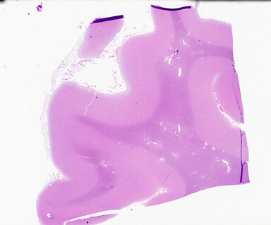 ['deident_557b6ac4-d6b4-4030-ac84-458490feb3cc_69b0512a.jpg']