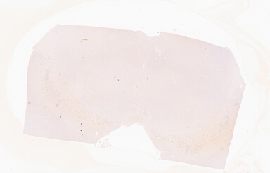 ['deident_26df78e8-61e3-48f9-96a1-ab8097af83e3_69b05113.jpg']