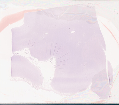 ['deident_1b8704ab-4518-48fc-bc6c-b58d23fda2ea_69b05102.jpg']