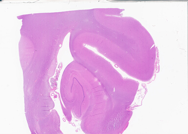 ['deident_2baef5cd-1038-4352-ac80-f98ff8496a5f_69b05115.jpg']