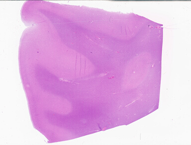 ['deident_0d064220-2a00-4f32-89b9-4055ff037445_69b050fd.jpg']