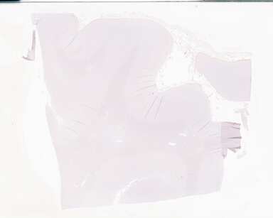 ['deident_1c433b5b-4fe0-4615-b1b2-0efa5591916c_69b05107.jpg']