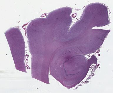 ['deident_6650ced2-5607-4a66-a844-e84583894633_69b03b8e.jpg']