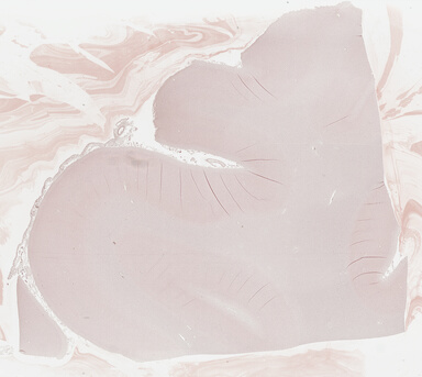 ['deident_a93cbf5c-3d74-405c-81d2-f1e1436bede0_69b03baa.jpg']