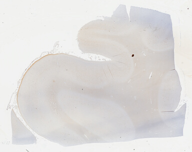 ['deident_133610c5-6bad-461e-b61c-8a1c8486f1d5_69b03b5b.jpg']