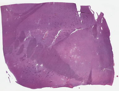 ['deident_d995539d-084e-4785-b1cf-d4b882c0e280_69b03bbb.jpg']