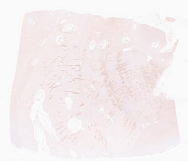 ['deident_103d175f-42a3-4928-9bda-a13b629347d9_69d960c3.jpg']