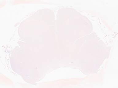 ['deident_cb5a32e2-8d05-44b9-bc6f-3a7d8ad8b3d4_69b04d6e.jpg']