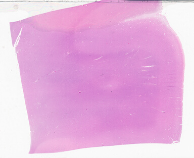 ['deident_90c3acd2-30e5-476b-9b65-05ec6b881ae1_69b04d50.jpg']