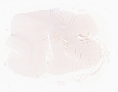 ['deident_c83f5458-02c2-42b9-8d51-bcd923847bbd_69b064b0.jpg']