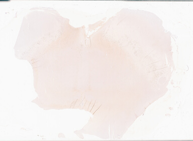 ['deident_42ab833c-5b94-4f39-b798-7efedb82182d_69b06474.jpg']