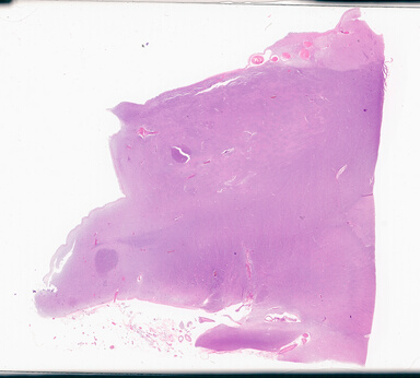 ['deident_66f00f7a-bdb9-40ba-85ba-4ee69044cf41_69d94a88.jpg']
