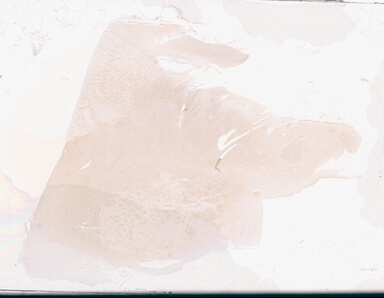 ['deident_39102f4c-8b1b-4ee1-a054-4e338366aa93_69d94a68.jpg']