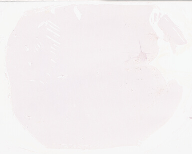 ['deident_d90bbe59-e217-40d1-85d7-f9880db0e0f4_69d94abf.jpg']