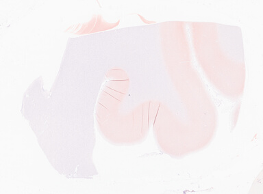 ['deident_100bd405-5a73-4aa5-8088-0976afc8f5ec_69d94a3c.jpg']
