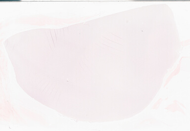 ['deident_5109d387-6226-4619-9807-56b97bb0fa86_69b060f0.jpg']