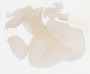['deident_b2e97d0b-0578-4e8a-a416-862d464c4ec4_69b02a5f.jpg']