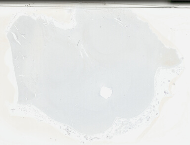 ['deident_14f3bf8d-059e-4de1-89a1-51bed65c8f77_695fcd35.jpg']