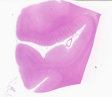 ['deident_d658ba56-eb52-4ac0-94b0-78d68bba16fd_69d93a0f.jpg']