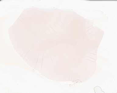 ['deident_bc3e5c04-5370-44b0-88fa-dc9c61e29a06_69d939d4.jpg']