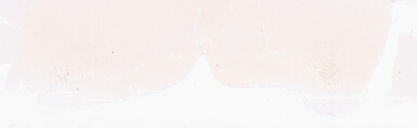 ['deident_bbb254ff-f3cc-4bd7-ba09-0ac423b540d1_69d939d2.jpg']
