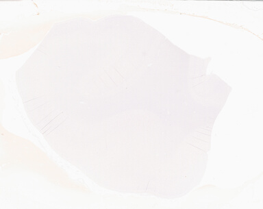 ['deident_7902d17b-51e6-4ff4-8f86-363f718e85a1_69d93988.jpg']