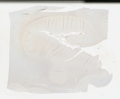 ['deident_8dee7d4f-b9a7-40bd-bcf2-a46bce1df257_69b04e01.jpg']