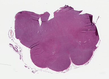 ['deident_1064e109-b020-4bb1-99ac-b4144f366636_69b04dd7.jpg']
