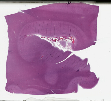 ['deident_57b6044b-36fb-42f3-b6e7-d9b4f3eb9af5_69b04df2.jpg']