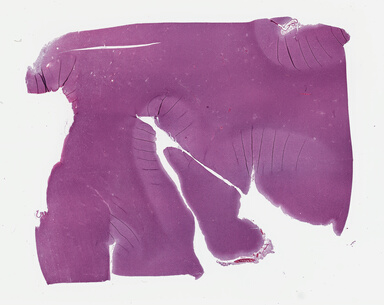 ['deident_a7d7f93e-edc6-4466-904e-5f0bd61ca95e_69b04e11.jpg']
