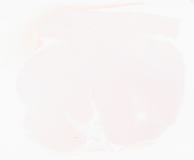 ['deident_2a558343-08aa-4457-adf9-a3b6574663f3_69d932c5.jpg']