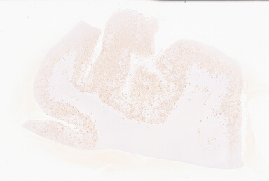['deident_756fa7fb-085e-470a-8c7b-5cabf386d1ab_69d9337f.jpg']