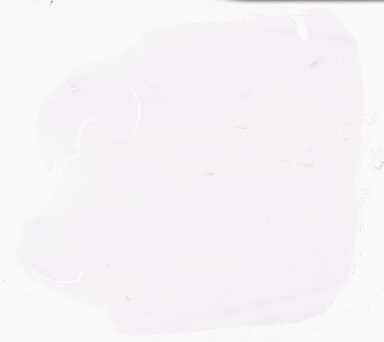 ['deident_fb8bac73-b05d-41d0-96fe-4fc2c4f4b4de_69d933fd.jpg']