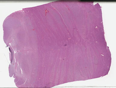 ['deident_d41fcb67-0ac2-4267-8ba1-366bafdd8bbc_695fc701.jpg']