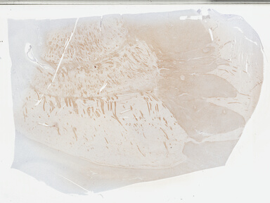 ['deident_debec3c1-647e-49e5-bd47-56870dbbd2aa_695fc70b.jpg']