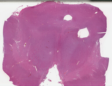 ['deident_c6f826f4-c362-4ae6-aad4-2ced03334b67_695fc6fa.jpg']