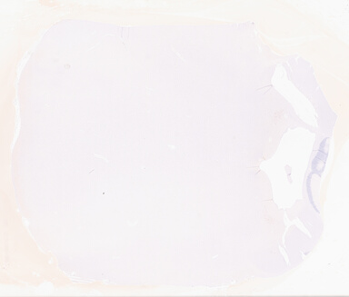 ['deident_0334ab51-bb66-4745-b290-a95475241712_69d95e93.jpg']